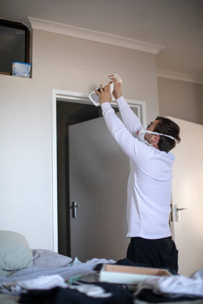 Best Attic Mold Removal  in Crest Hl, IL