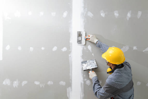 Best Water Damage & Mold Remediation  in Crest Hl, IL