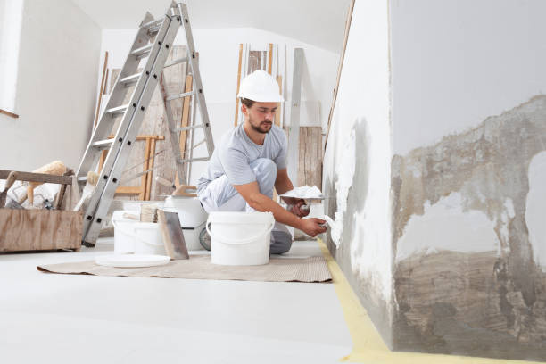 Best Mold-Related Health Consultation  in Crest Hl, IL