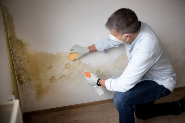 Forensic Mold Investigation in Crest Hill, IL