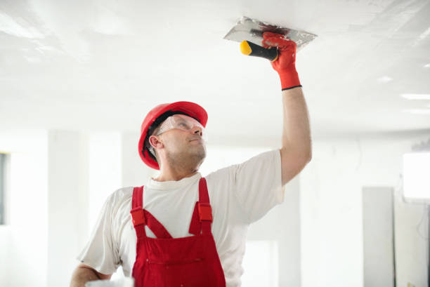 Best Mold-Related Health Consultation  in Crest Hl, IL
