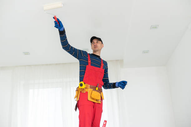 Best Basement Mold Removal  in Crest Hl, IL