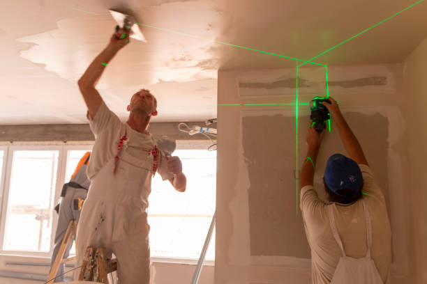 Best Forensic Mold Investigation  in Crest Hl, IL
