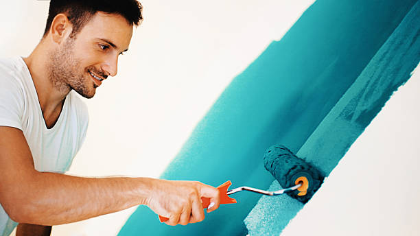 Best Post-Construction Mold Inspection  in Crest Hl, IL